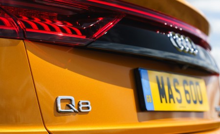 2019 Audi Q8 S Line 50 TDI Quattro (UK-Spec) Detail Wallpapers 450x275 (82)