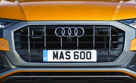2019 Audi Q8 S Line 50 TDI Quattro (UK-Spec) Grill Wallpapers 450x275 (69)