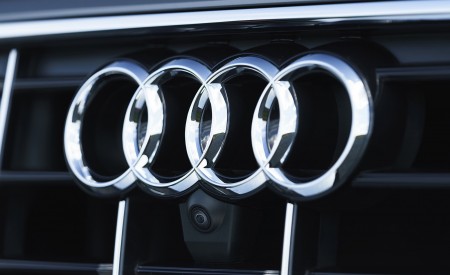 2019 Audi Q8 S Line 50 TDI Quattro (UK-Spec) Grill Wallpapers 450x275 (70)
