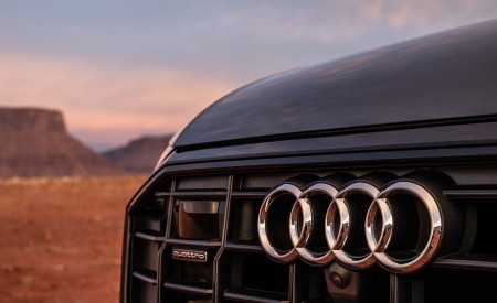 2019 Audi Q8 (US-Spec) Badge Wallpapers 450x275 (90)
