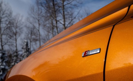 2019 Audi Q8 (US-Spec) Detail Wallpapers 450x275 (113)