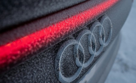 2019 Audi Q8 (US-Spec) Detail Wallpapers 450x275 (89)