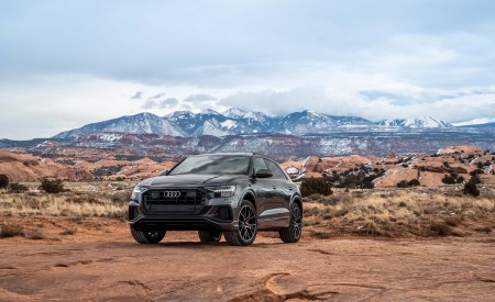 2019 Audi Q8 (US-Spec) Front Three-Quarter Wallpapers 450x275 (34)