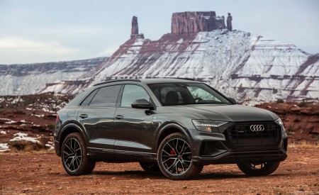 2019 Audi Q8 (US-Spec) Front Three-Quarter Wallpapers 450x275 (58)
