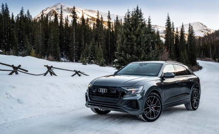 2019 Audi Q8 (US-Spec) Front Three-Quarter Wallpapers 450x275 (22)