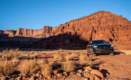 2019 Audi Q8 (US-Spec) Front Wallpapers 450x275 (38)