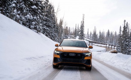 2019 Audi Q8 (US-Spec) Front Wallpapers 450x275 (107)
