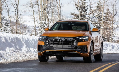 2019 Audi Q8 (US-Spec) Front Wallpapers 450x275 (109)
