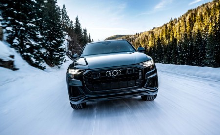 2019 Audi Q8 (US-Spec) Front Wallpapers 450x275 (9)