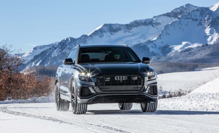 2019 Audi Q8 (US-Spec) Front Wallpapers 450x275 (72)