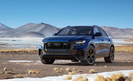 2019 Audi Q8 (US-Spec) Front Wallpapers 450x275 (50)
