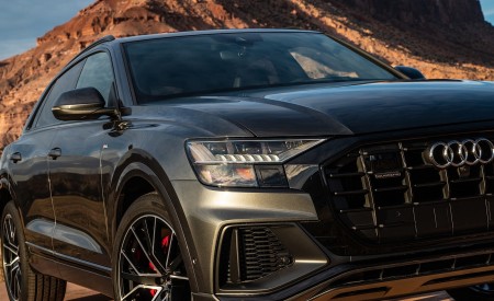 2019 Audi Q8 (US-Spec) Headlight Wallpapers 450x275 (51)