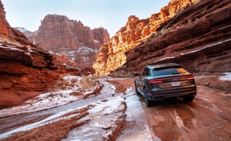 2019 Audi Q8 (US-Spec) Rear Three-Quarter Wallpapers 450x275 (10)