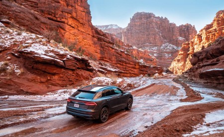 2019 Audi Q8 (US-Spec) Rear Three-Quarter Wallpapers 450x275 (11)