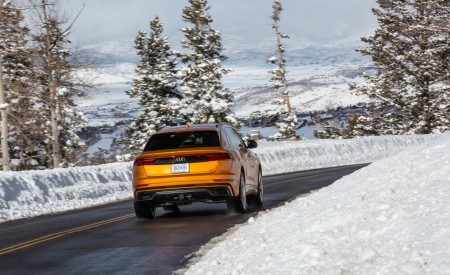 2019 Audi Q8 (US-Spec) Rear Three-Quarter Wallpapers 450x275 (110)