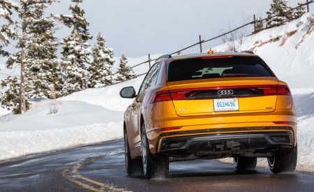 2019 Audi Q8 (US-Spec) Rear Wallpapers 450x275 (111)