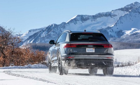2019 Audi Q8 (US-Spec) Rear Wallpapers 450x275 (77)