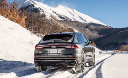 2019 Audi Q8 (US-Spec) Rear Wallpapers 450x275 (78)