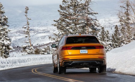 2019 Audi Q8 (US-Spec) Rear Wallpapers 450x275 (112)