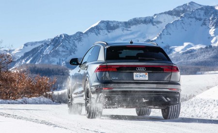 2019 Audi Q8 (US-Spec) Rear Wallpapers 450x275 (79)