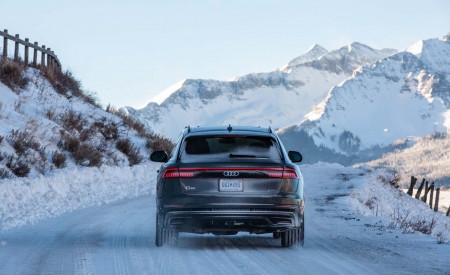 2019 Audi Q8 (US-Spec) Rear Wallpapers 450x275 (66)