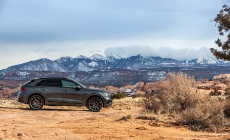 2019 Audi Q8 (US-Spec) Side Wallpapers 450x275 (67)