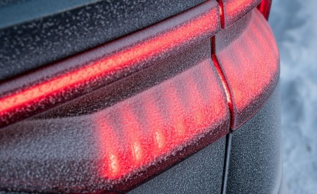 2019 Audi Q8 (US-Spec) Tail Light Wallpapers 450x275 (86)