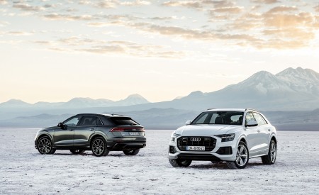 2019 Audi Q8 Wallpapers 450x275 (248)