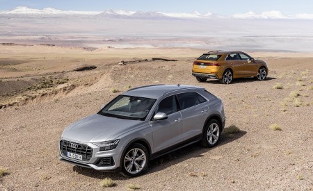 2019 Audi Q8 Wallpapers 450x275 (249)