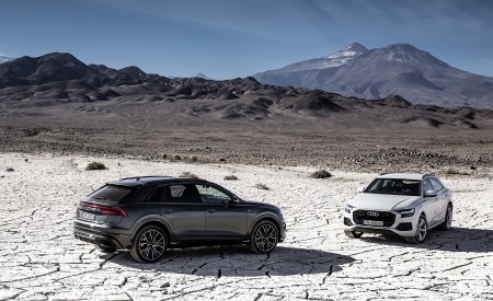 2019 Audi Q8 Wallpapers 450x275 (250)