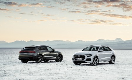 2019 Audi Q8 Wallpapers 450x275 (254)