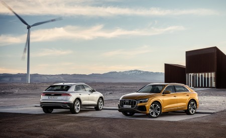2019 Audi Q8 Wallpapers 450x275 (251)