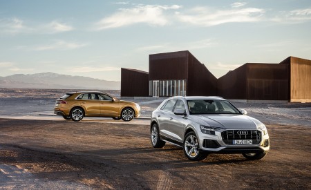 2019 Audi Q8 Wallpapers 450x275 (252)