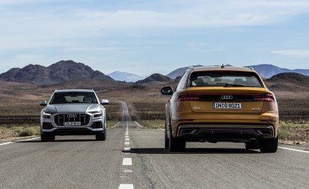 2019 Audi Q8 Wallpapers 450x275 (253)
