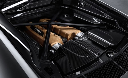 2019 Audi R8 V10 Decennium (Color: Daytona Gray Matt) Engine Wallpapers 450x275 (7)