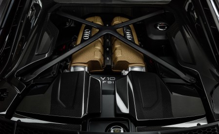 2019 Audi R8 V10 Decennium (Color: Daytona Gray Matt) Engine Wallpapers 450x275 (6)