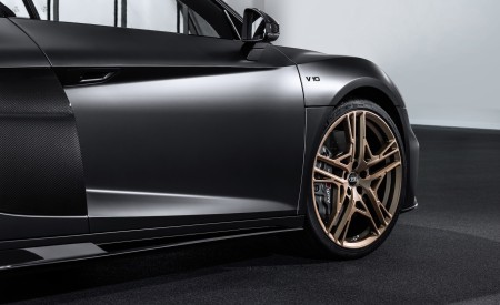 2019 Audi R8 V10 Decennium (Color: Daytona Gray Matt) Side Wallpapers 450x275 (5)