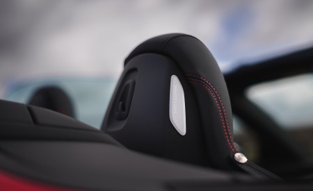 2019 Audi R8 V10 Spyder Performance quattro (UK-Spec) Detail Wallpapers 450x275 (76)