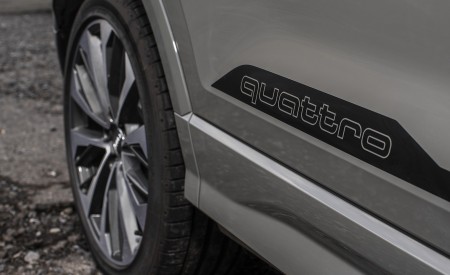 2019 Audi SQ2 (UK-Spec) Detail Wallpapers 450x275 (29)