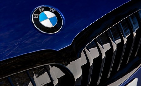 2019 BMW 3-Series Saloon 320d xDrive (UK-Spec) Badge Wallpapers 450x275 (36)