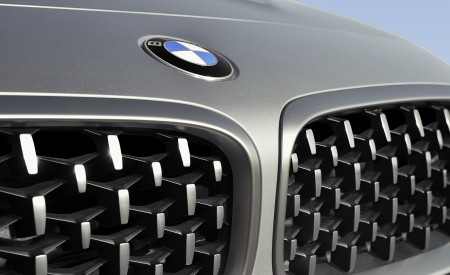2019 BMW Z4 M40i (UK-Spec) Grill Wallpapers 450x275 (133)