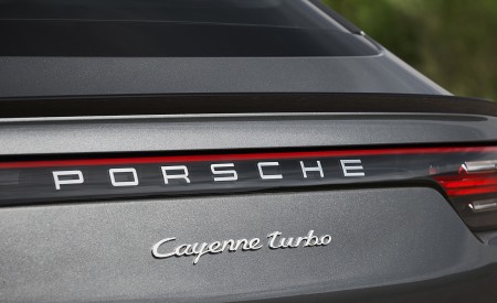 2020 Porsche Cayenne Turbo Coupe Detail Wallpapers 450x275 (89)