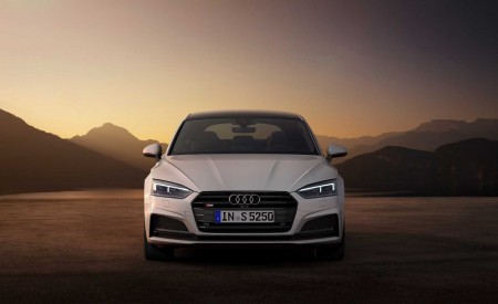 2019 Audi S5 Sportback TDI Front Wallpapers 450x275 (8)