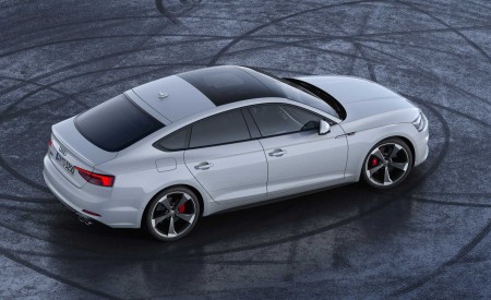 2019 Audi S5 Sportback TDI Rear Three-Quarter Wallpapers 450x275 (12)