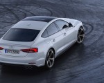 2019 Audi S5 Sportback TDI Rear Wallpapers 150x120 (13)