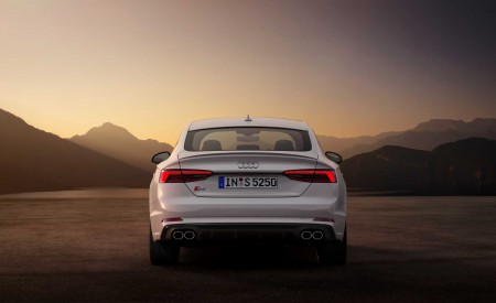 2019 Audi S5 Sportback TDI Rear Wallpapers 450x275 (10)
