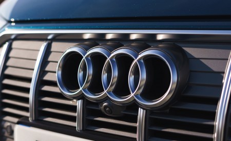 2019 Audi e-tron 55 (UK-Spec) Badge Wallpapers 450x275 (95)