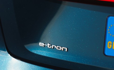 2019 Audi e-tron 55 (UK-Spec) Detail Wallpapers 450x275 (116)