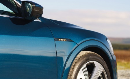 2019 Audi e-tron 55 (UK-Spec) Detail Wallpapers 450x275 (101)