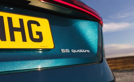 2019 Audi e-tron 55 (UK-Spec) Detail Wallpapers  450x275 (122)